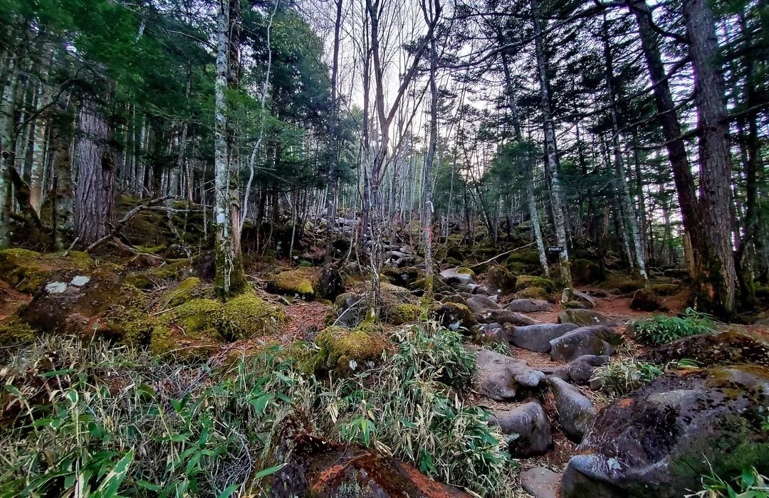 🏞️ 자연휴양림 스와자키 이미지 4